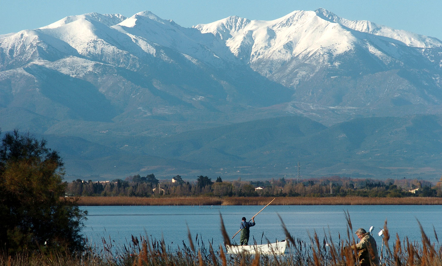 Vue mont canigou du mar estang