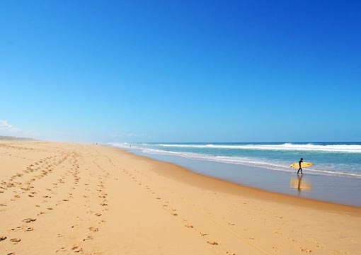 surf