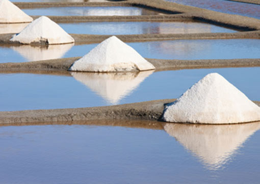 Pays de la loire guerande