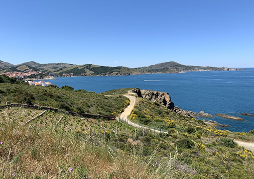 Banyuls sur mer