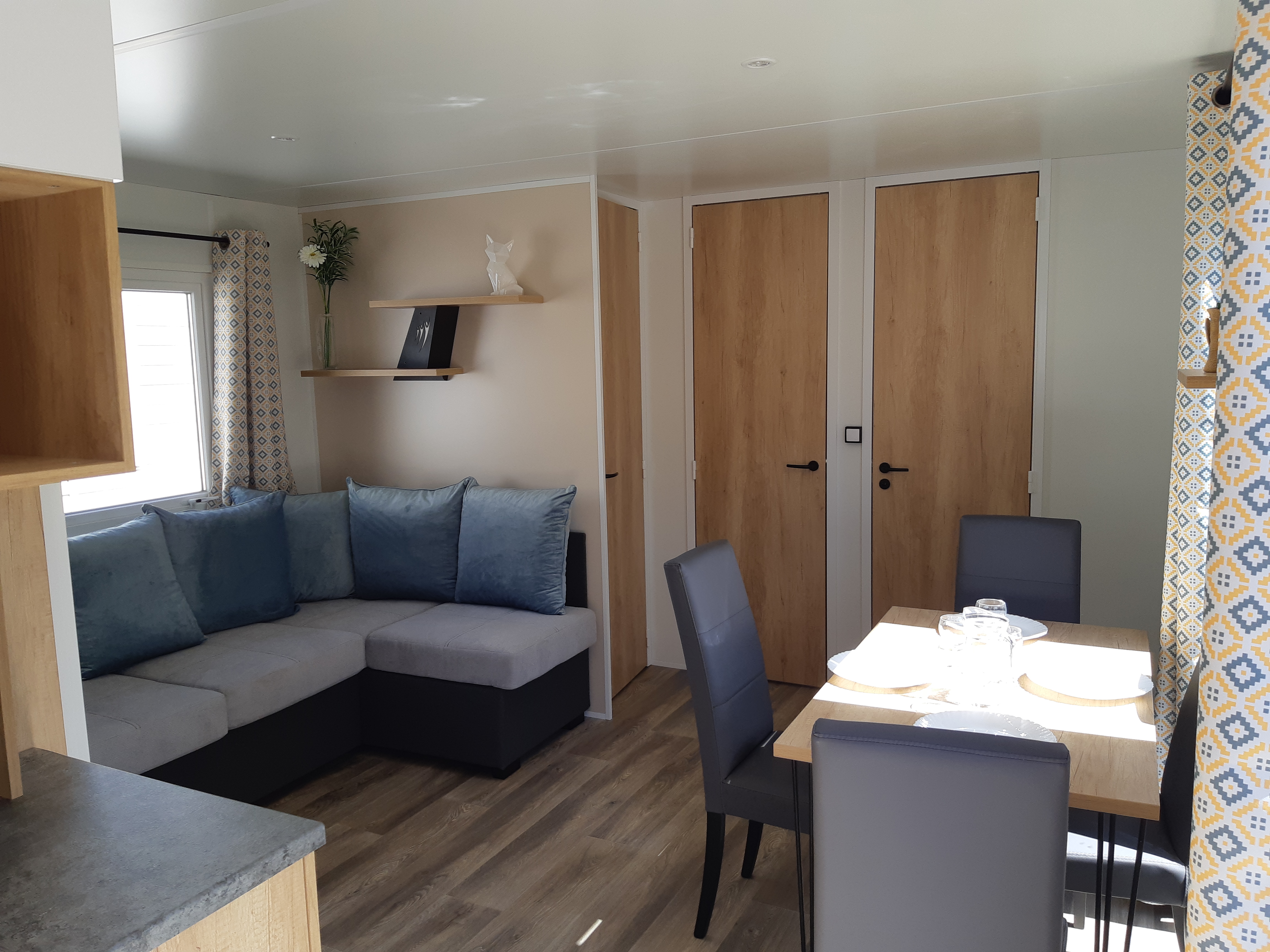 Rapidhome Salsa 2021