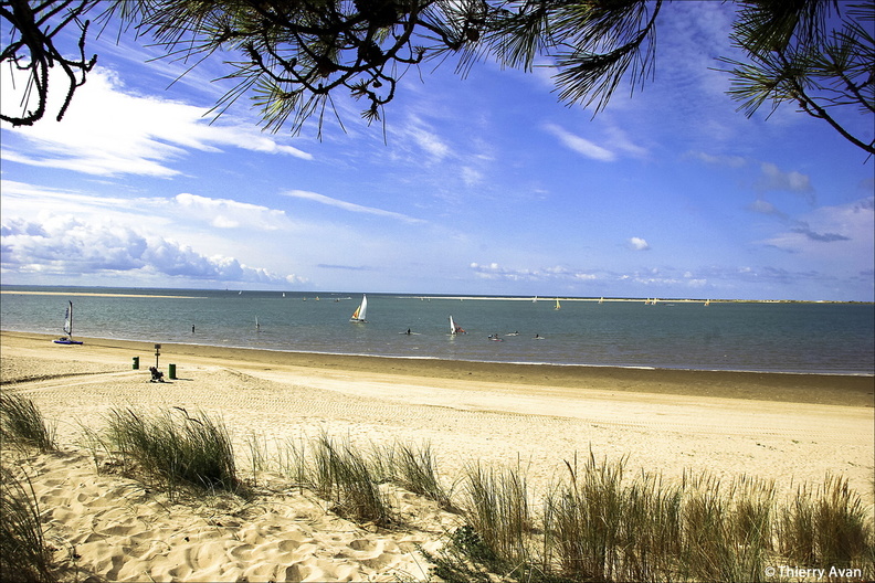 siblu charente maritime la pignade