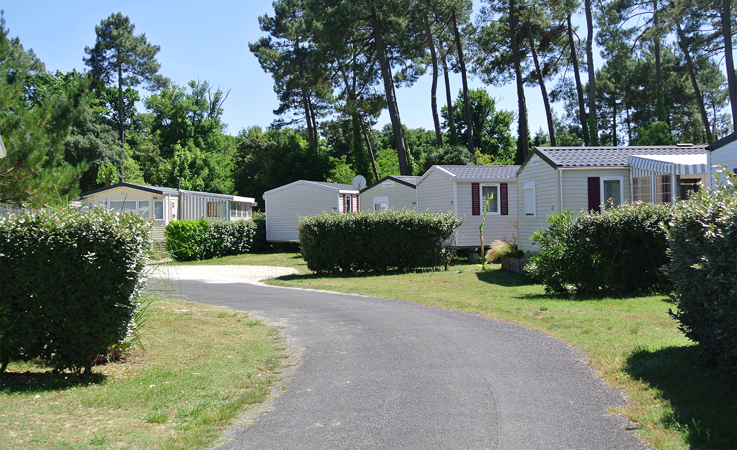 CP-Allées_1460x880
