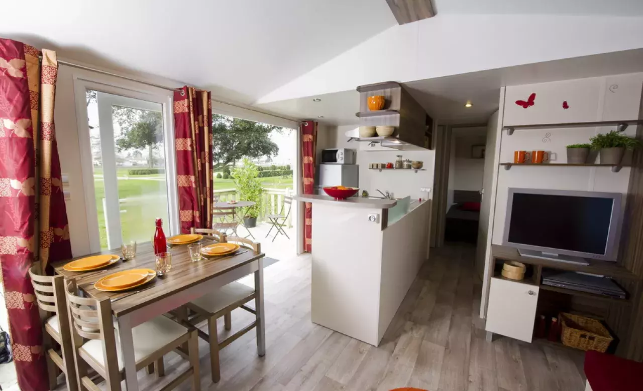 IRM Luminosa 2012 salon