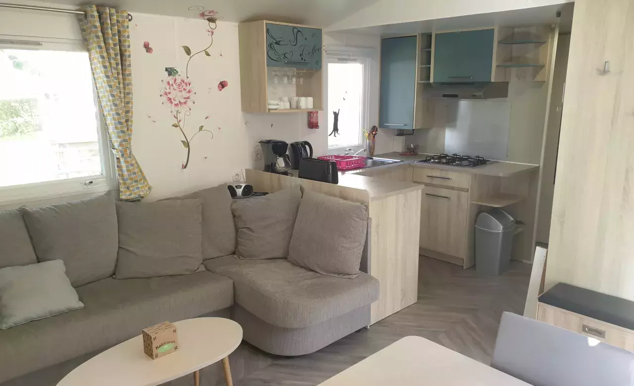 salon 1