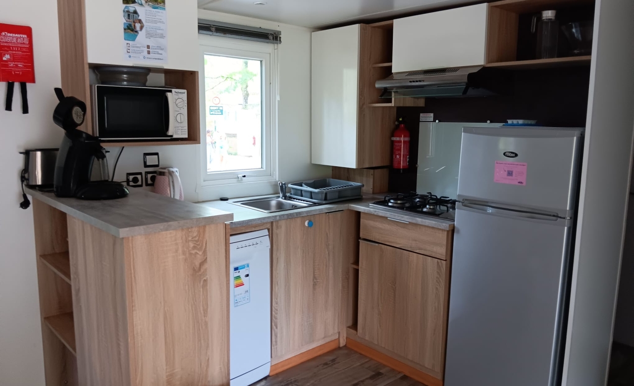 Rapidhome AP 100
