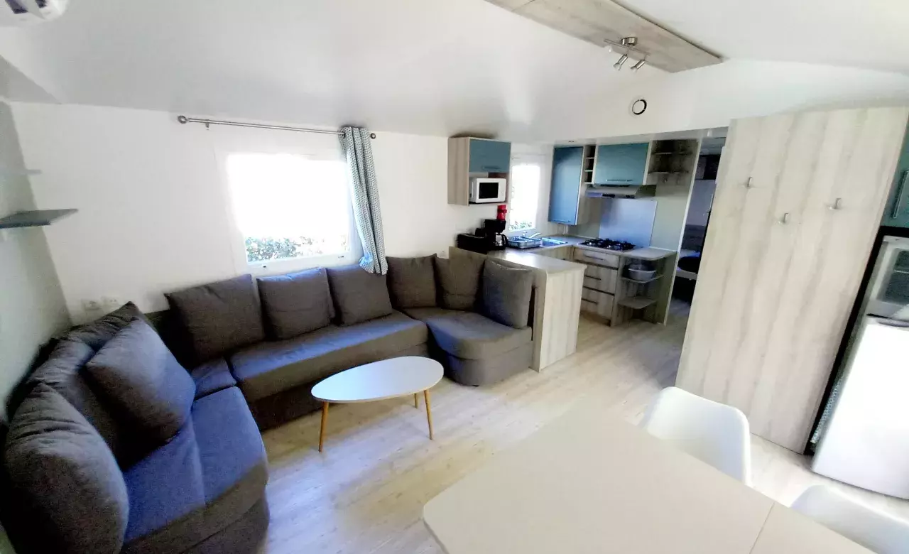 TRIGANO - Amira 2019