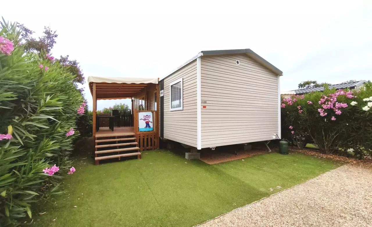 Rapidhome Bora 2025 GL