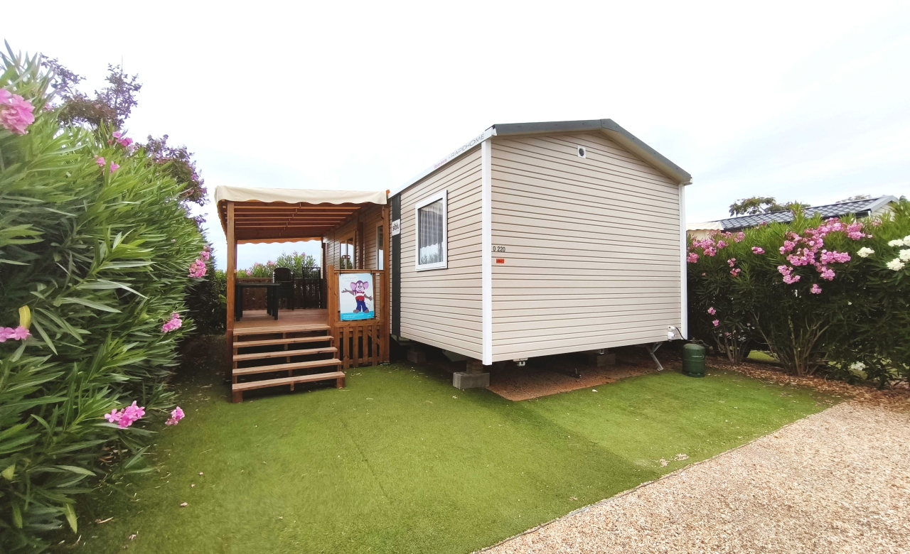 Rapidhome Bora 2025 GL
