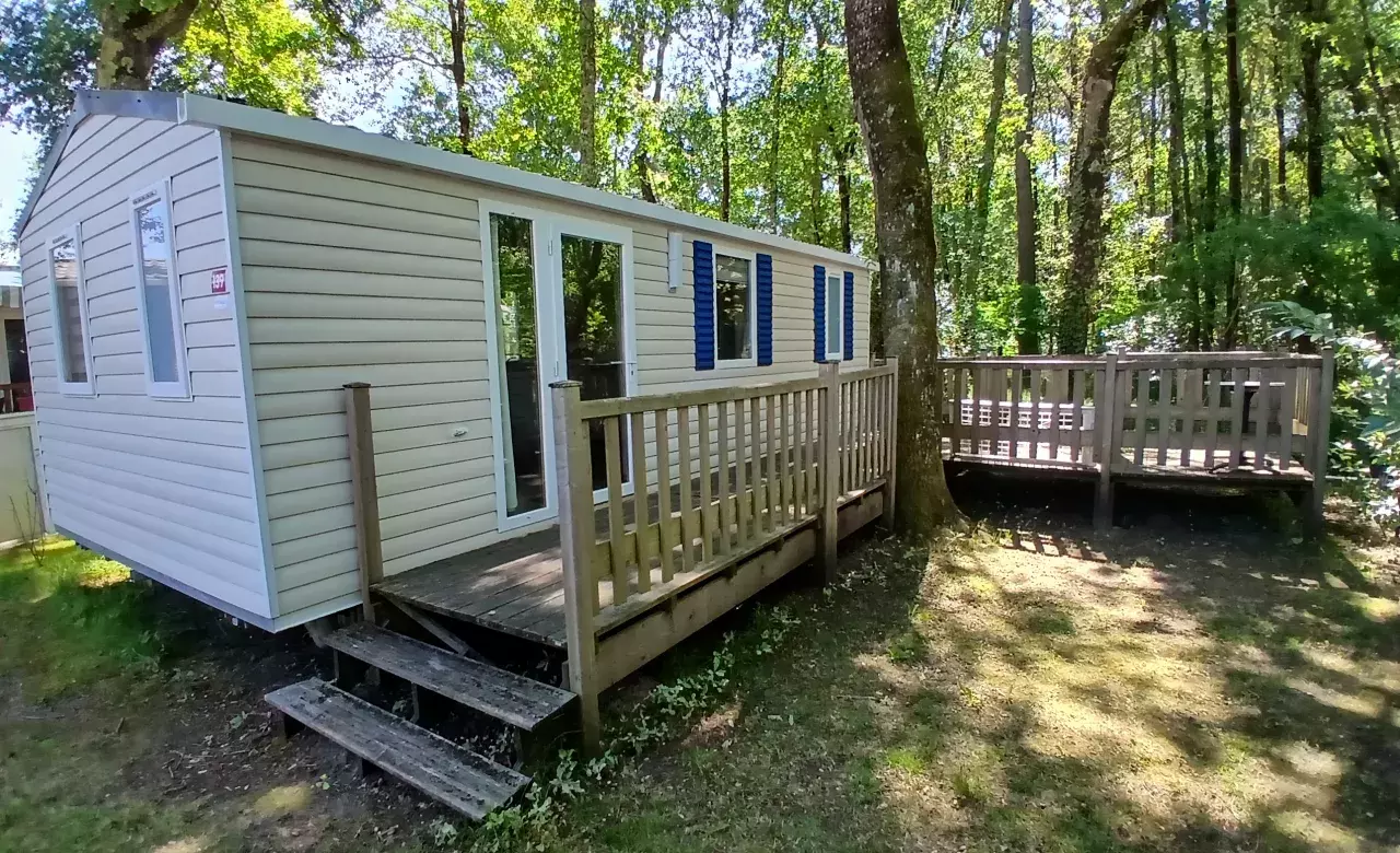 Ext eleganzia 2018 139