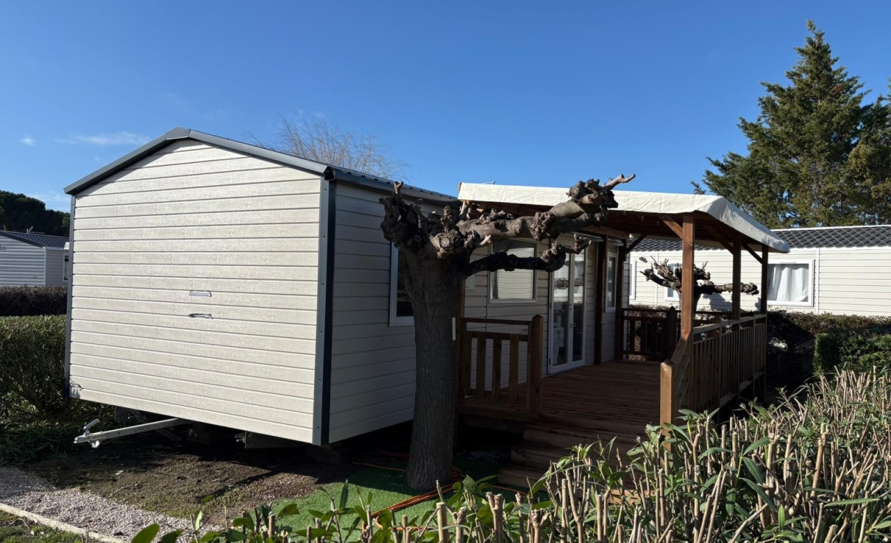 Trigano Safira 2025 3 chambres 