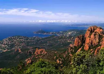 paca esterel