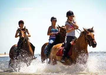 cheval aquitaine