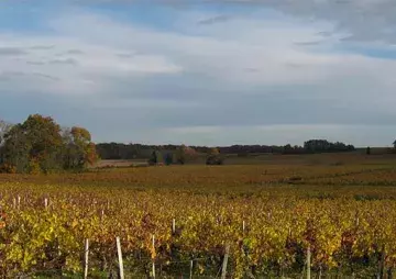médoc