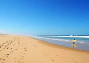 surf
