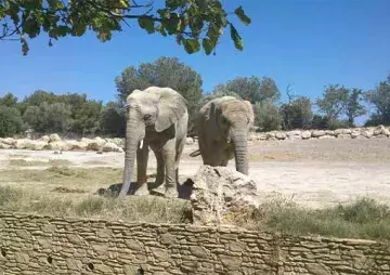 Réserve africaine de sigean