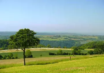 suisse normande