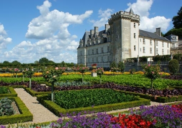 chateau royal de blois