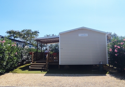 rapidhome luna 2019