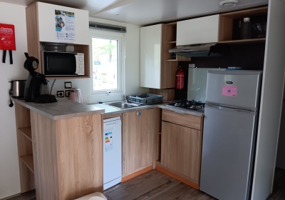 Rapidhome AP 100