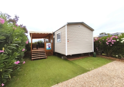 Rapidhome Bora 2025 GL