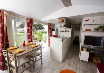 IRM Luminosa 2012 salon