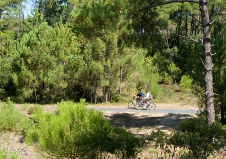 La Pignade