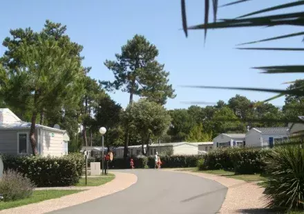 siblu charente maritime la pignade