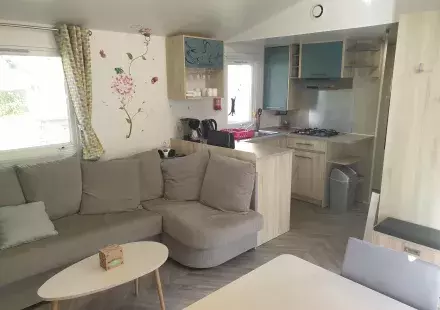 salon 1