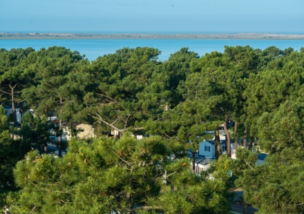 Parc Bonne Anse Plage