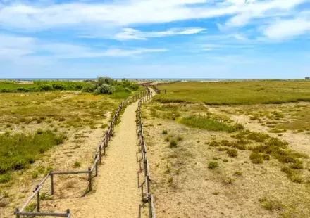 chemin
