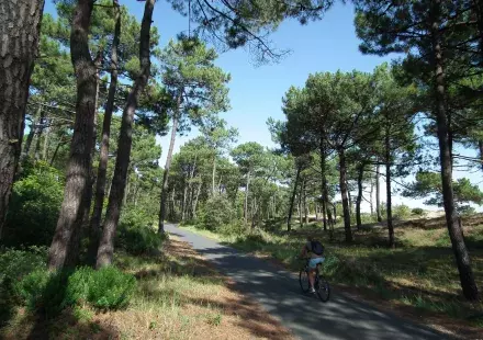 La Pignade