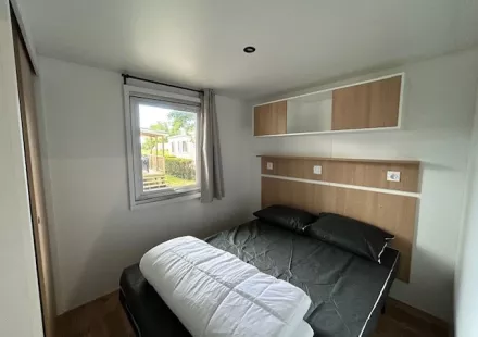 CALINA V2 2023