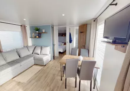 Salsa 2023 Salon