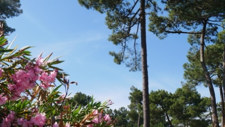La Pignade