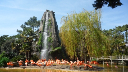 zoo de la palmyre