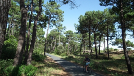 La Pignade