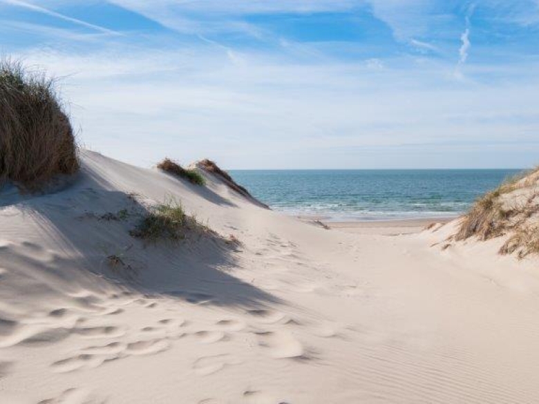 plage dunes La Pignade